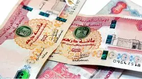درهم امارات چند؟ آخرین تغییرات قیمت درهم امارات به تومان در 21 بهمن 1403