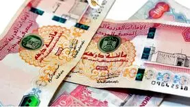 درهم امارات چند؟ آخرین تغییرات قیمت درهم امارات به تومان در 21 بهمن 1403