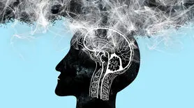 چه چیزی خطر زوال عقل را افزایش می دهد؟ 