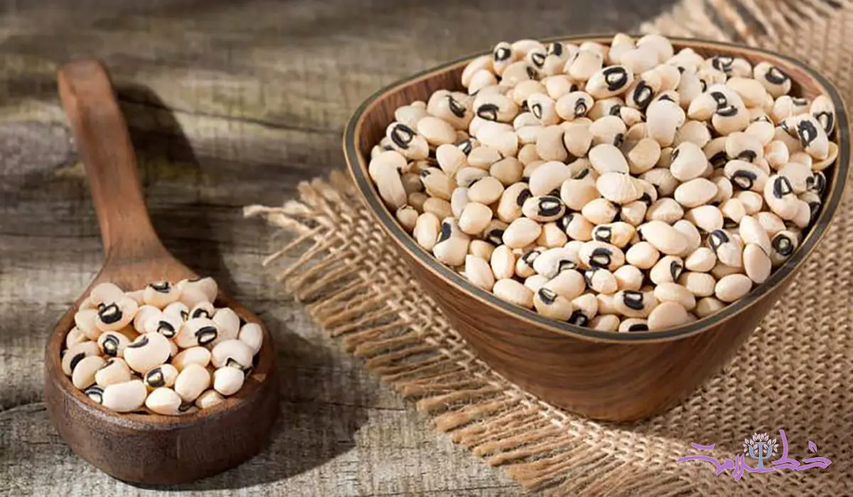 درمان 13 بیماری با این نوع لوبیا خوشمزه!