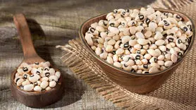 درمان 13 بیماری با این نوع لوبیا خوشمزه!