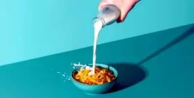 بهترین غلات صبحانه کدام است؟ + غلات صبحانه رژیمی از شایعه تا واقعیت