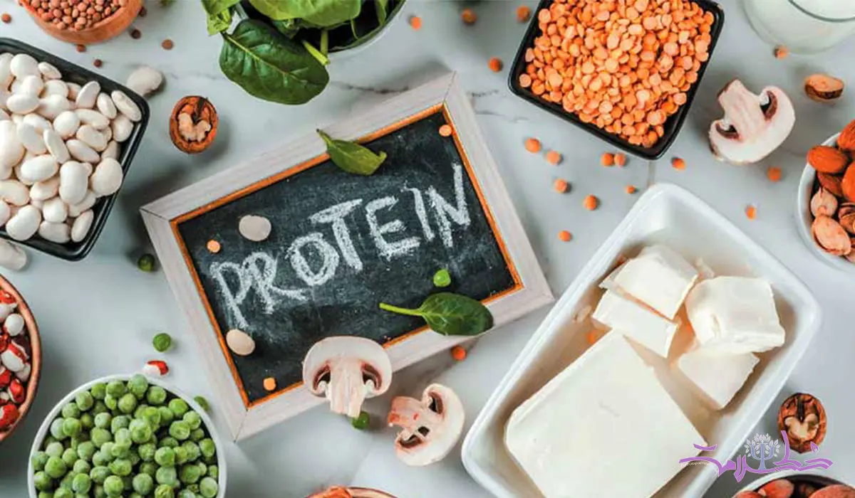پروتئین ها نقش مهمی در زندگی و سلامت بدن ما دارند + منابع