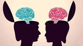 مغز زنان پرکارتر است یا مغز مردان ؟ + فقط مردان بخوانند