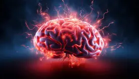 گرما چه تاثیری بر مغزتان می گذارد؟