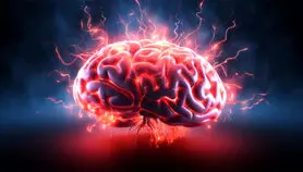 گرما چه تاثیری بر مغزتان می گذارد؟