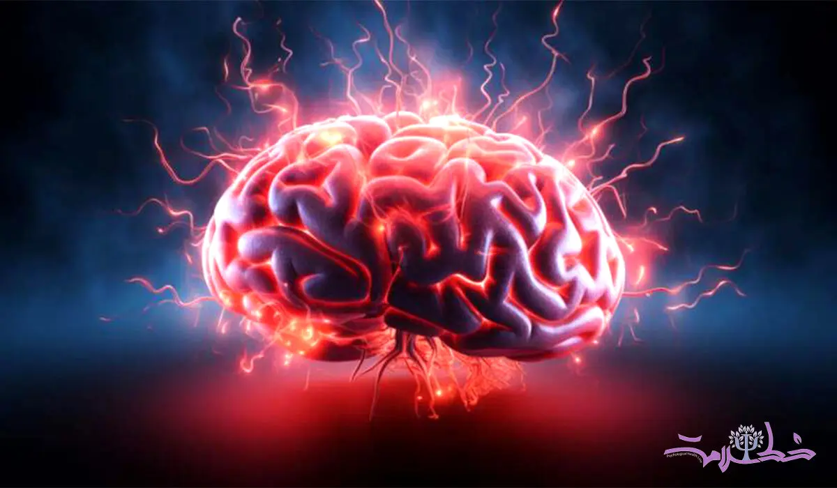 گرما چه تاثیری بر مغزتان می گذارد؟