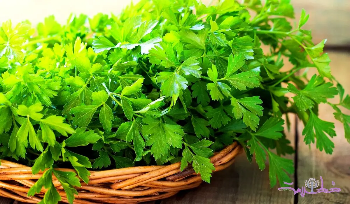 15 خاصیت بی نظیر برای بدن / به تنهایی داروخانه است