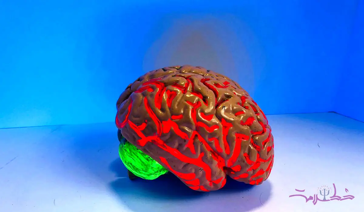 کشف امضاء ذهنی مغز جناح چپ و راست 