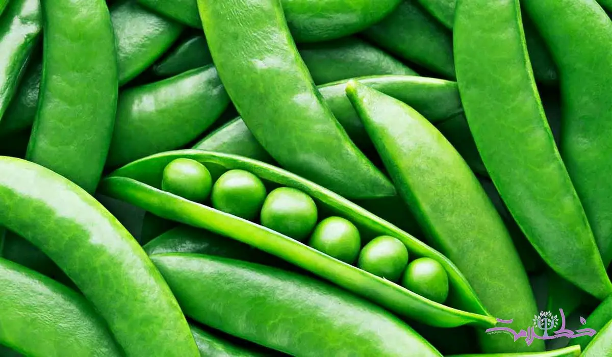 چه کسانی باید نخود فرنگی را از رژیم غذایی خود حذف کنند؟