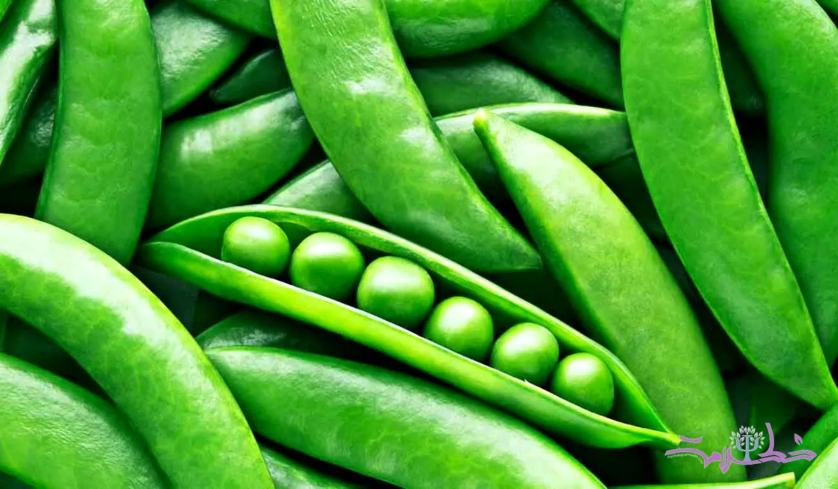 چه کسانی باید نخود فرنگی را از رژیم غذایی خود حذف کنند؟
