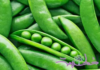 چه کسانی باید نخود فرنگی را از رژیم غذایی خود حذف کنند؟