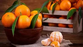 این نارنگی خاص تقویت حافظه، استخوان‌، سلامت پوست و گوارش را یکجا دارد