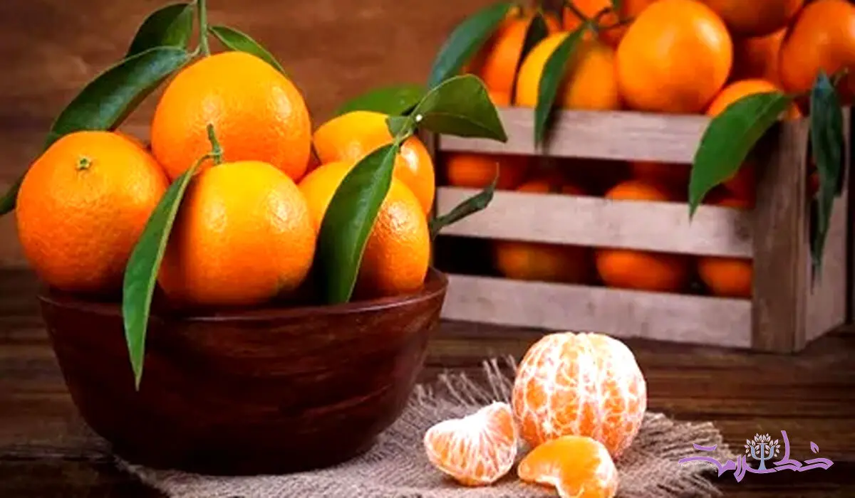 این نارنگی خاص تقویت حافظه، استخوان‌، سلامت پوست و گوارش را یکجا دارد