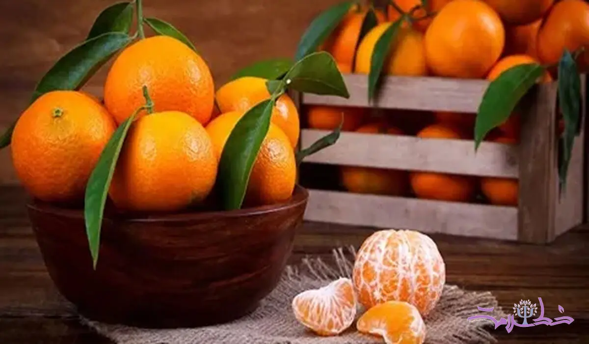 این نارنگی خاص تقویت حافظه، استخوان‌، سلامت پوست و گوارش را یکجا دارد