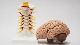 علائم هشداردهنده اختلال در سیستم عصبی را جدی بگیرید