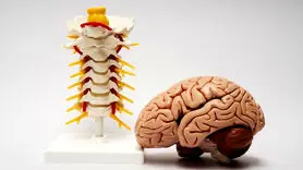 علائم هشداردهنده اختلال در سیستم عصبی را جدی بگیرید