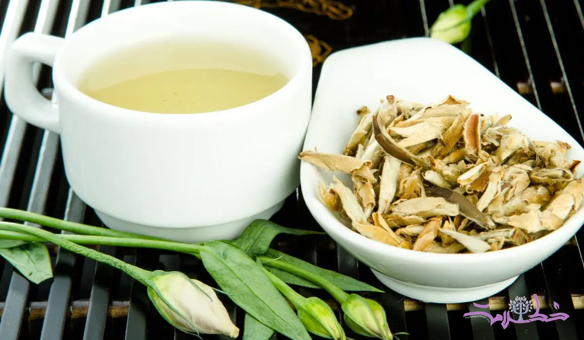 چای سفید هفت خاصیت فوق العاده دارد+هم جوانی هم ضد سرطان
