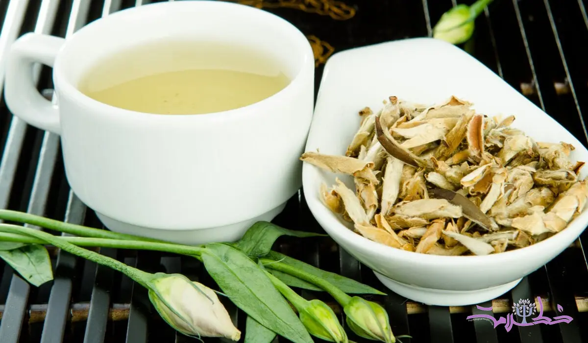 چای سفید هفت خاصیت فوق العاده دارد+هم جوانی هم ضد سرطان