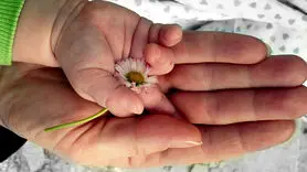 فیلم/تبریک تکاندهنده فرزندان برای مادرانی که بهشتی شدند