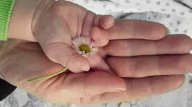 فیلم/تبریک تکاندهنده فرزندان برای مادرانی که بهشتی شدند