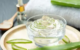 نسخه طب سنتی برای استفاده از آلوئه ورا
