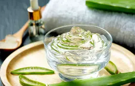 نسخه طب سنتی برای استفاده از آلوئه ورا