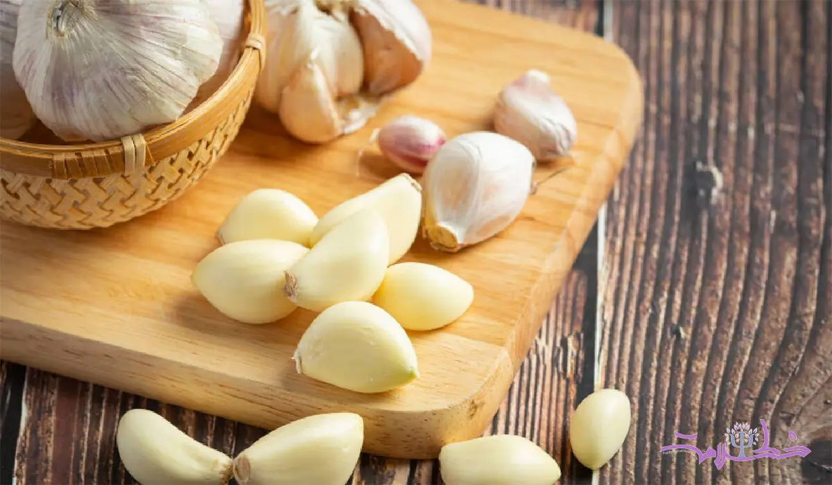 سیر را چگونه بخوریم تا بیشترین فایده را ببریم؟