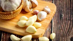 سیر را با این داروها نخورید! + چه کسانی نباید سیر مصرف کنند!