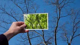 4 دلیل که بدبین ها به مقصد نمی رسند/ این ویژگی ها را تقویت کنید