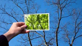 4 دلیل که بدبین ها به مقصد نمی رسند/ این ویژگی ها را تقویت کنید
