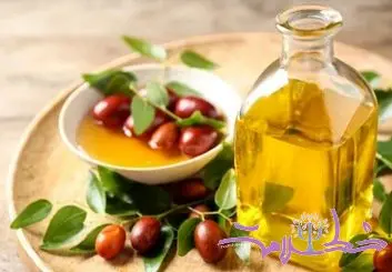 آخرین یافته های علمی در مورد خواص روغن جوجوبا 