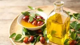 آخرین یافته های علمی در مورد خواص روغن جوجوبا 