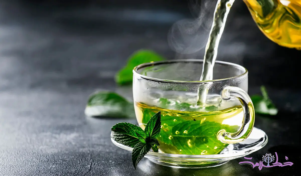 فیلم / 5 فایده چای سبز که تا کنون نمی دانید 