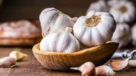 بهترین زمان‌های مصرف سیر برای سلامتی