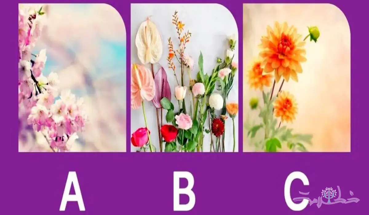 تست شخصیت شناسی/  بی حوصله ای یا خیلی صبوری؟ یک گل را انتخاب کن