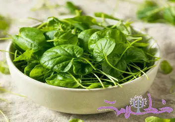 این سبزی سالم ترین سبزی جهان است + فواید شاهی در طب سنتی برای تقویت جنسی