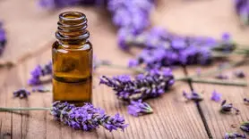  اسطوخودوس هم زیبا می کند هم لاغر