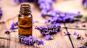  اسطوخودوس هم زیبا می کند هم لاغر