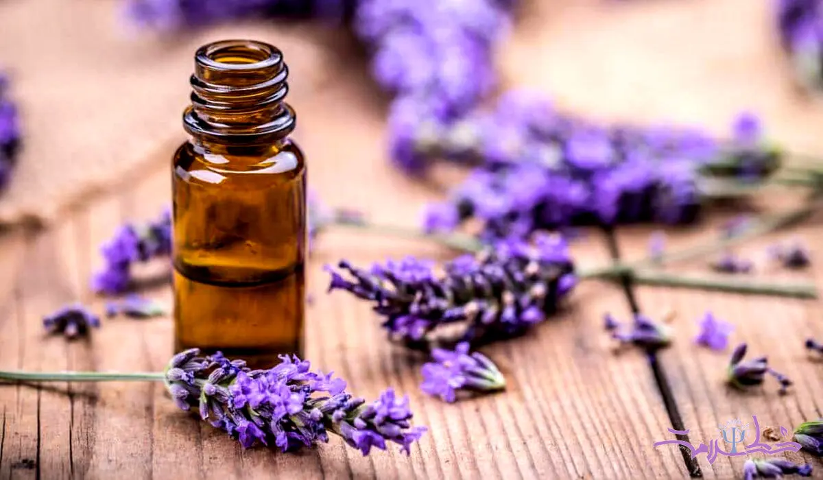 اسطوخودوس هم زیبا می کند هم لاغر