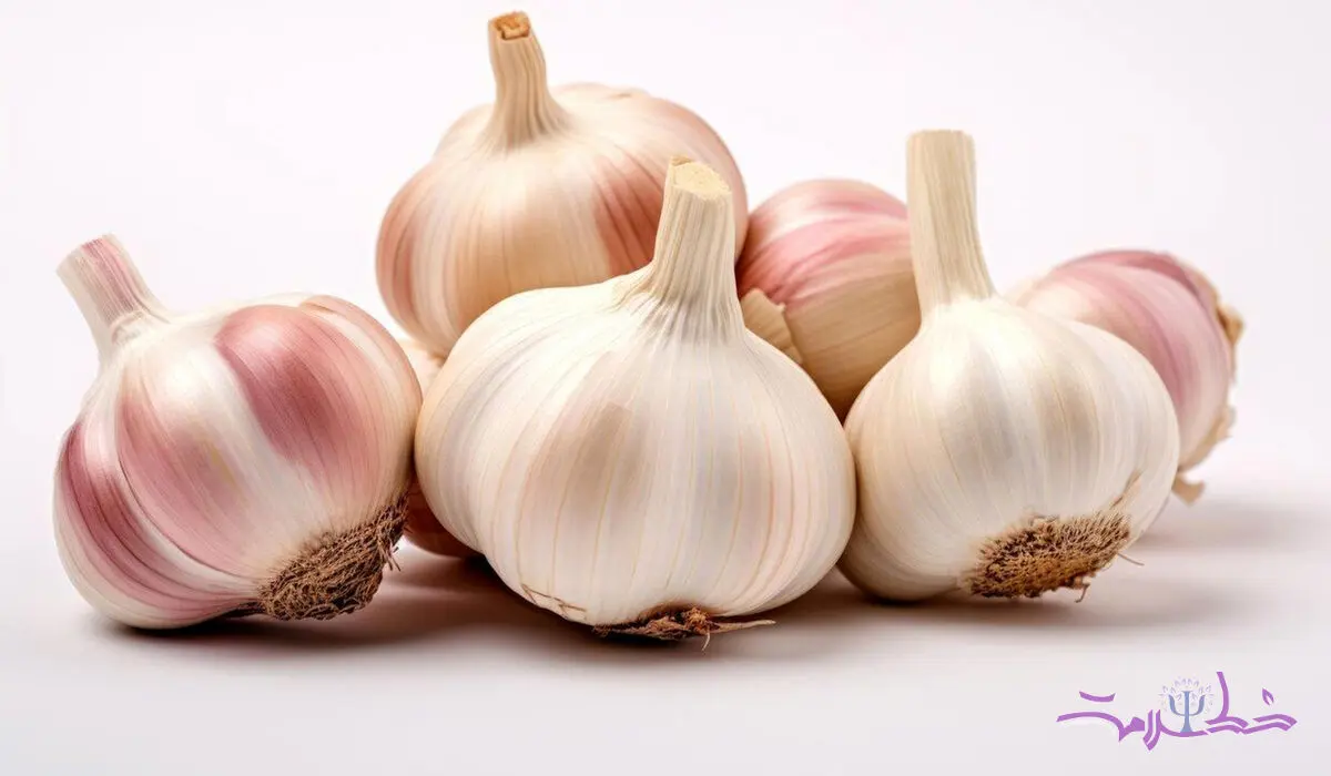 خواص سیر / ۱۱ خاصیت اثبات شده علمی  