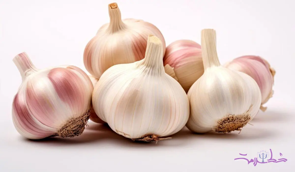 خواص سیر / ۱۱ خاصیت اثبات شده علمی  