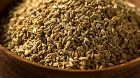 زنیان با خواص متعدد فراوان دوای بسیاری از دردهاست