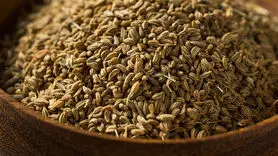زنیان با خواص متعدد فراوان دوای بسیاری از دردهاست