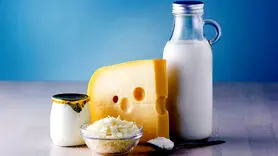 دیابت دارید؟  لبنیات پرچرب مصرف کنید/ آخرین یافته علمی