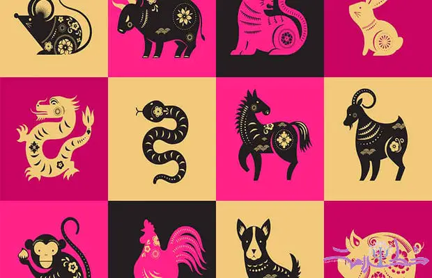 ویژگی های متولدین سال سگ در طالع‌ بینی چینی + با چه کسانی ازدواج کنند خوشبخت می شوند؟