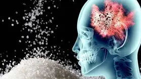 تاثیر شکر بر مغز انسان + فیلم شوک کننده