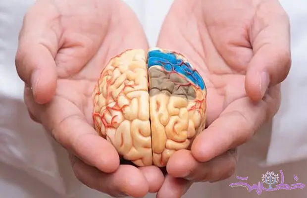 بعد از سال‌ها انتظار، بالاخره یک دارو توانست سرعت آلزایمر را کم کند+ داستان یک داروی جدید/ مقاله 2