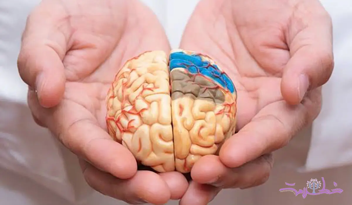 بعد از سال‌ها انتظار، بالاخره یک دارو توانست سرعت آلزایمر را کم کند+ داستان یک داروی جدید/ مقاله 2