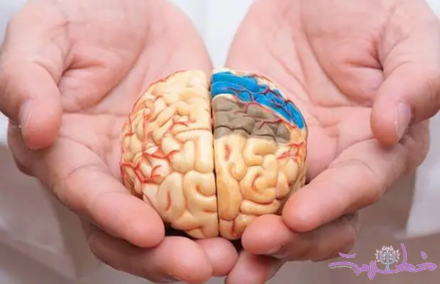 بعد از سال‌ها انتظار، بالاخره یک دارو توانست سرعت آلزایمر را کم کند+ داستان یک داروی جدید/ مقاله 2